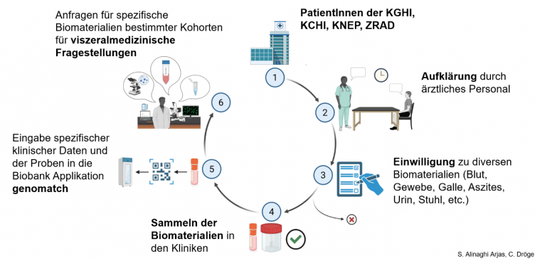Biobank Schema V2